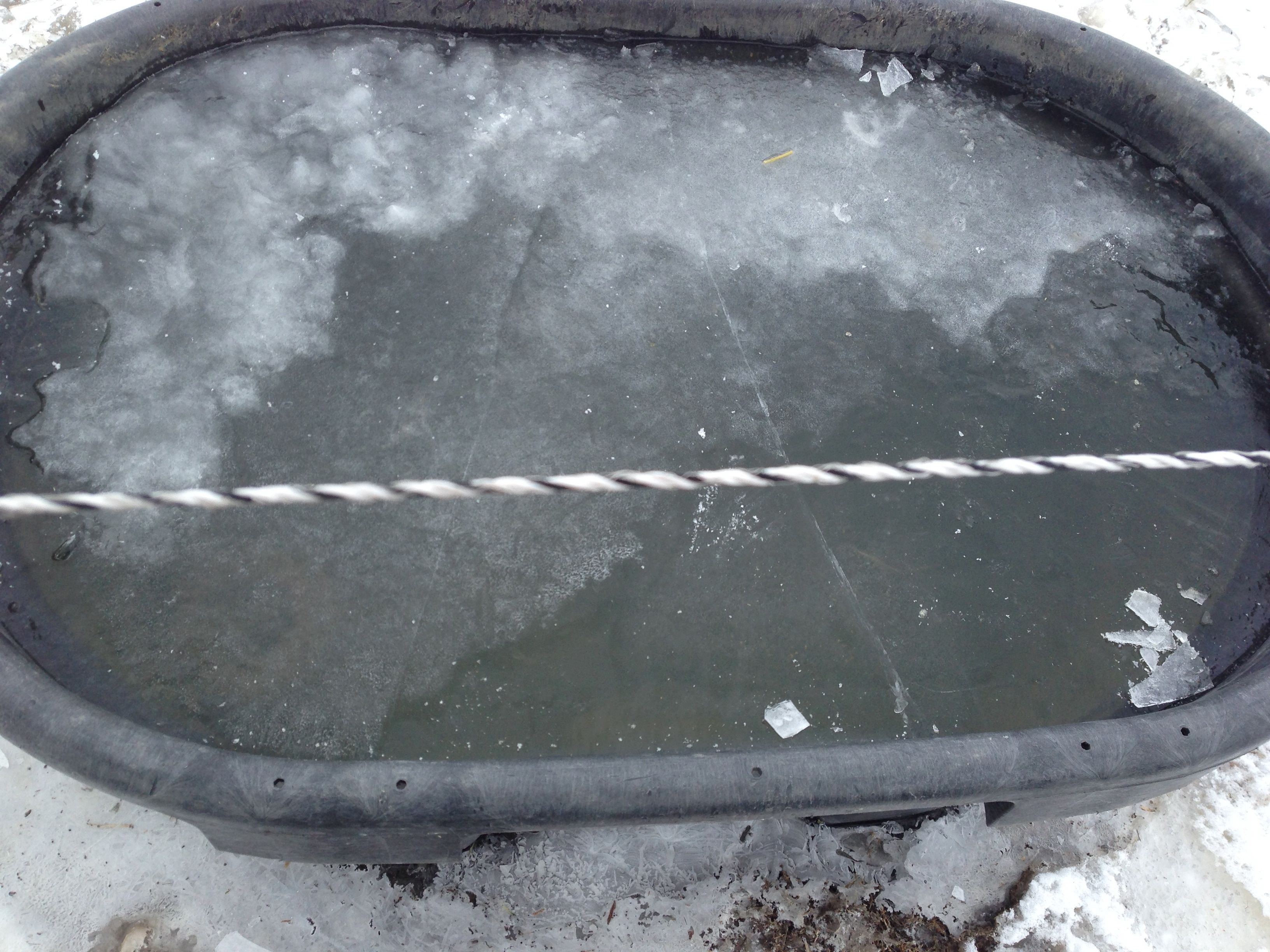 Water trough frozen solid