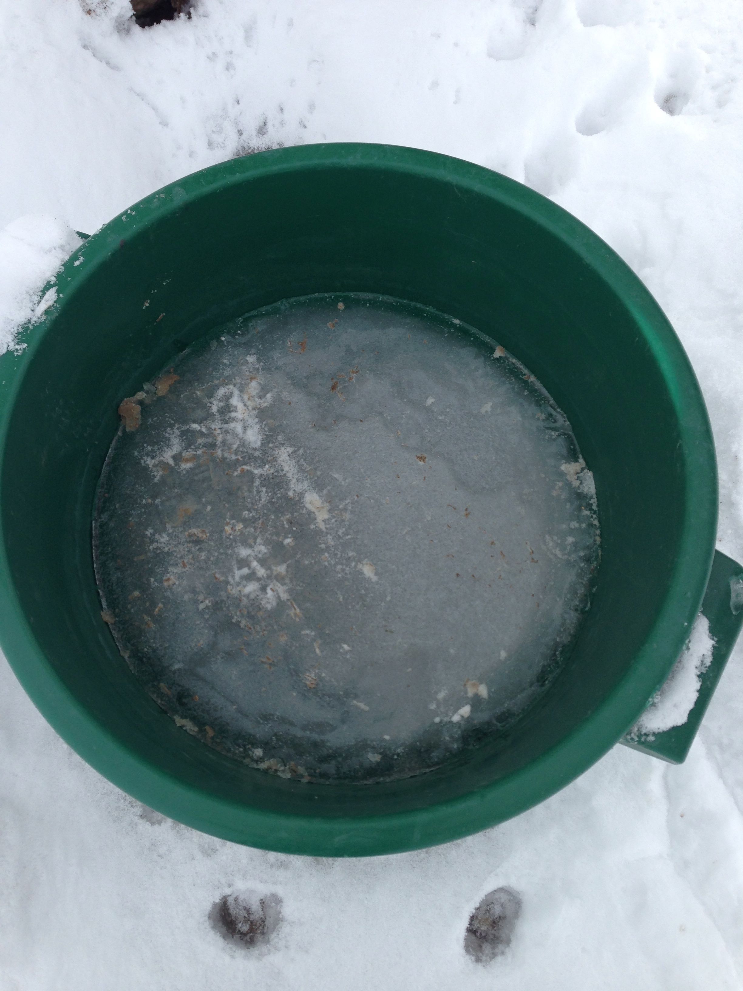 Water bucket frozen solid