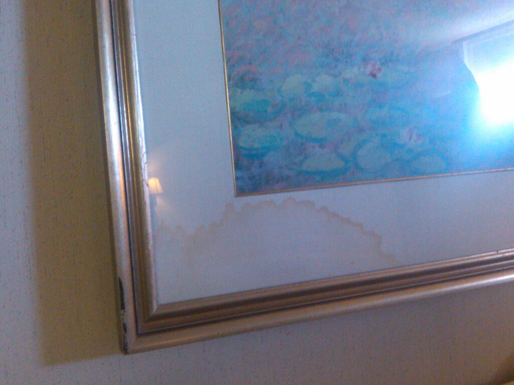 Its either water damage or pee..lol neither is good. If water damage then that indicates what the black stuff on the bed and walls might be....gross! Health issues, no thanks!