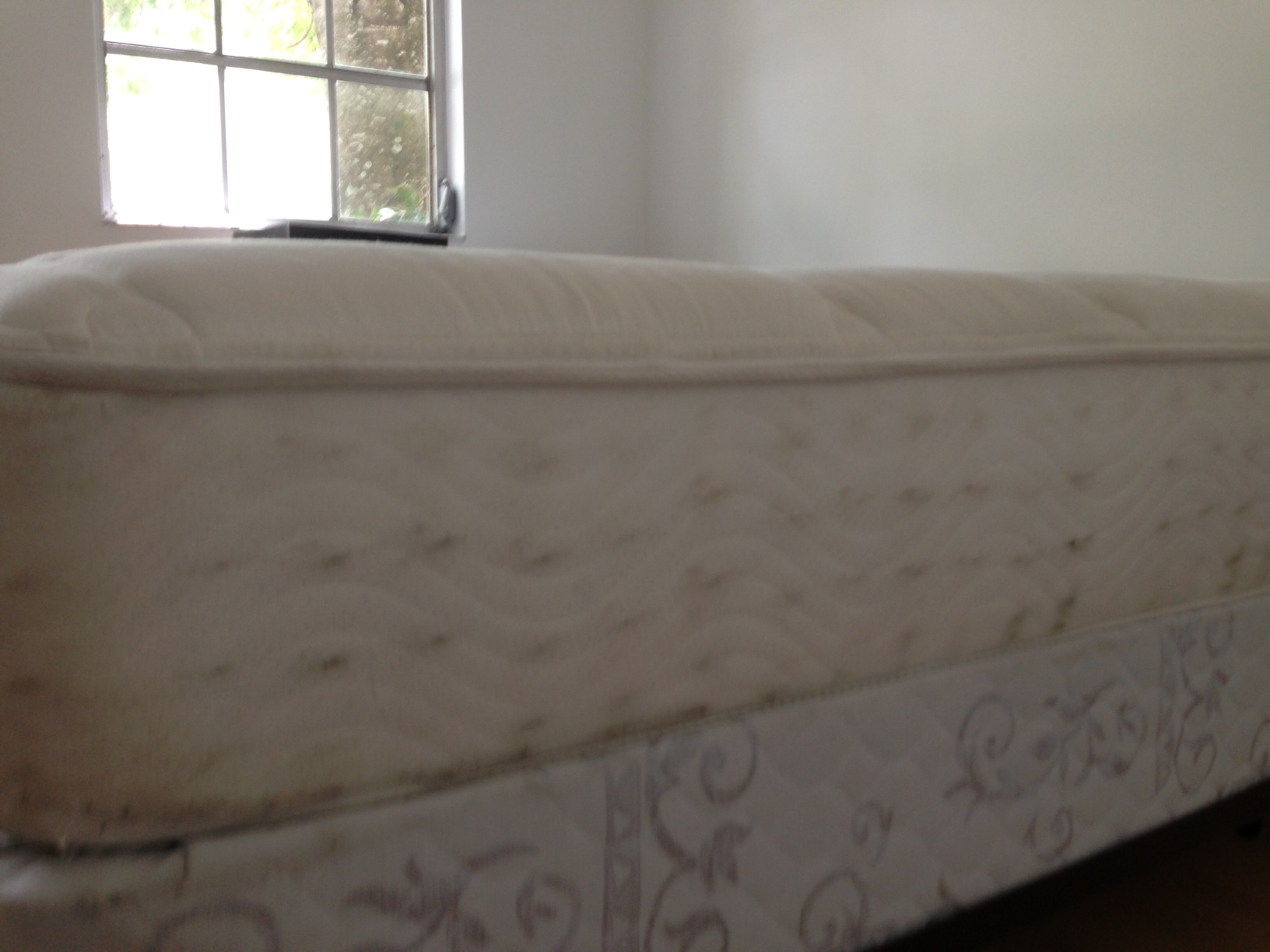 more mattress 1
