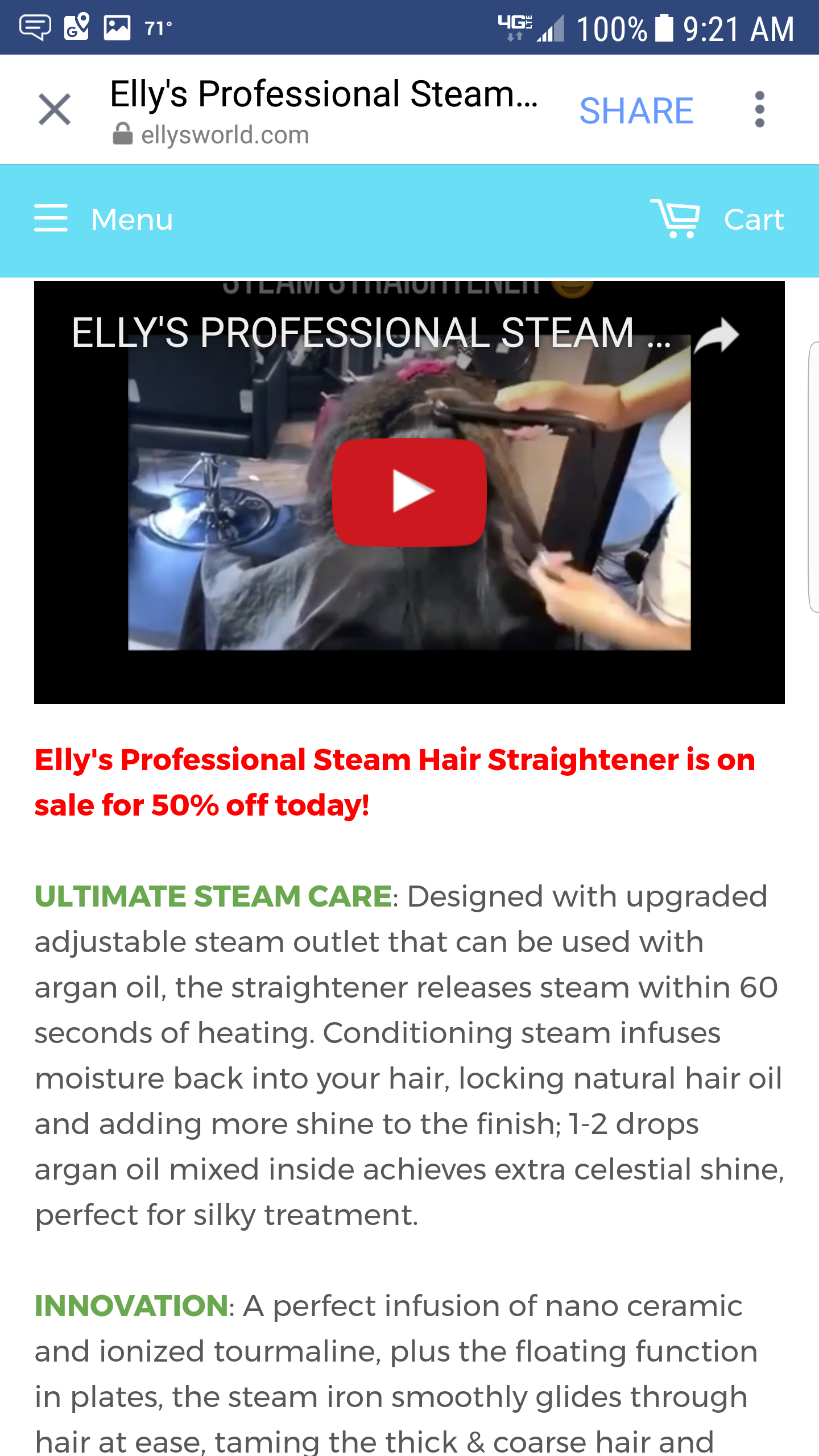 Elly's World Professional Steamer Rip-Off