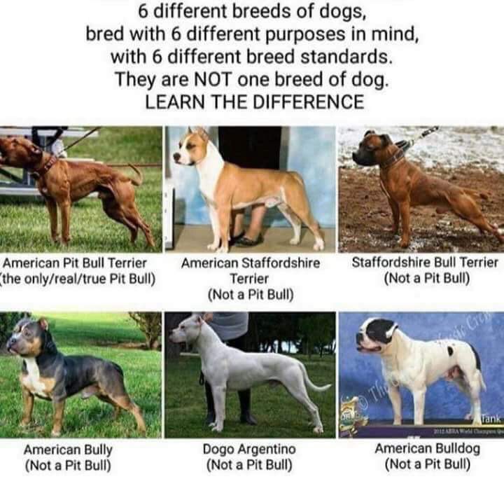 PLEASE LEARN THE DIFFERENCE