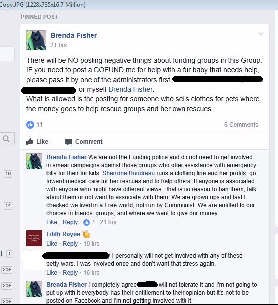 brenda fisher bias collecting scammer 