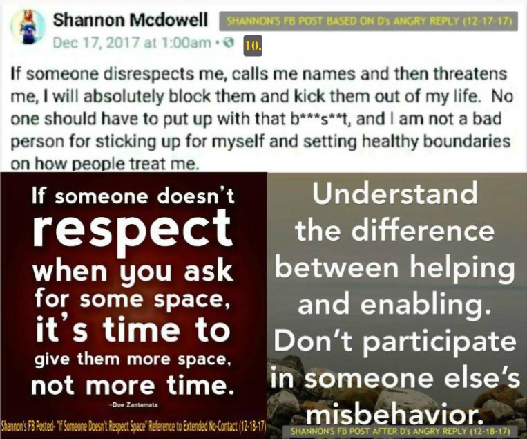 10. Collage of Shannon's Posts Based On D's Reply 