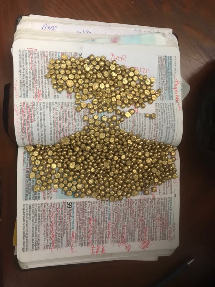 Gineton Alencar Bible