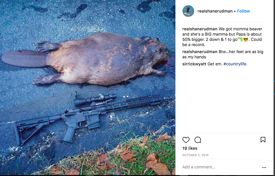 Animal killed by Shane Rudman