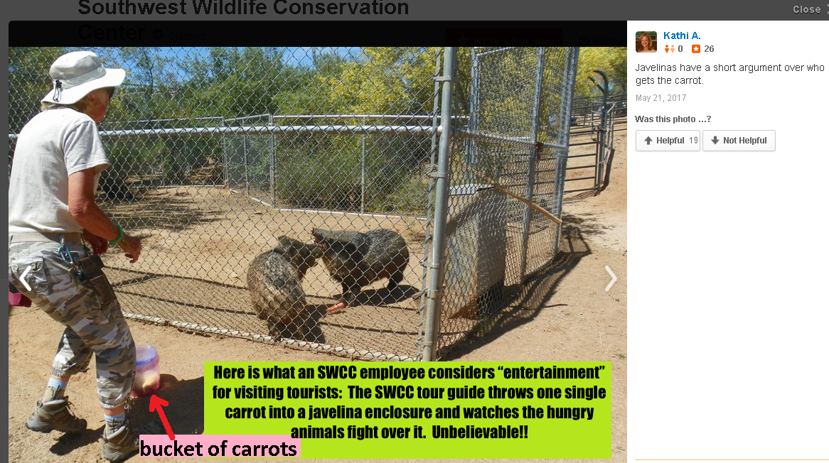 SWCC zoo staff force animals to fight over food 