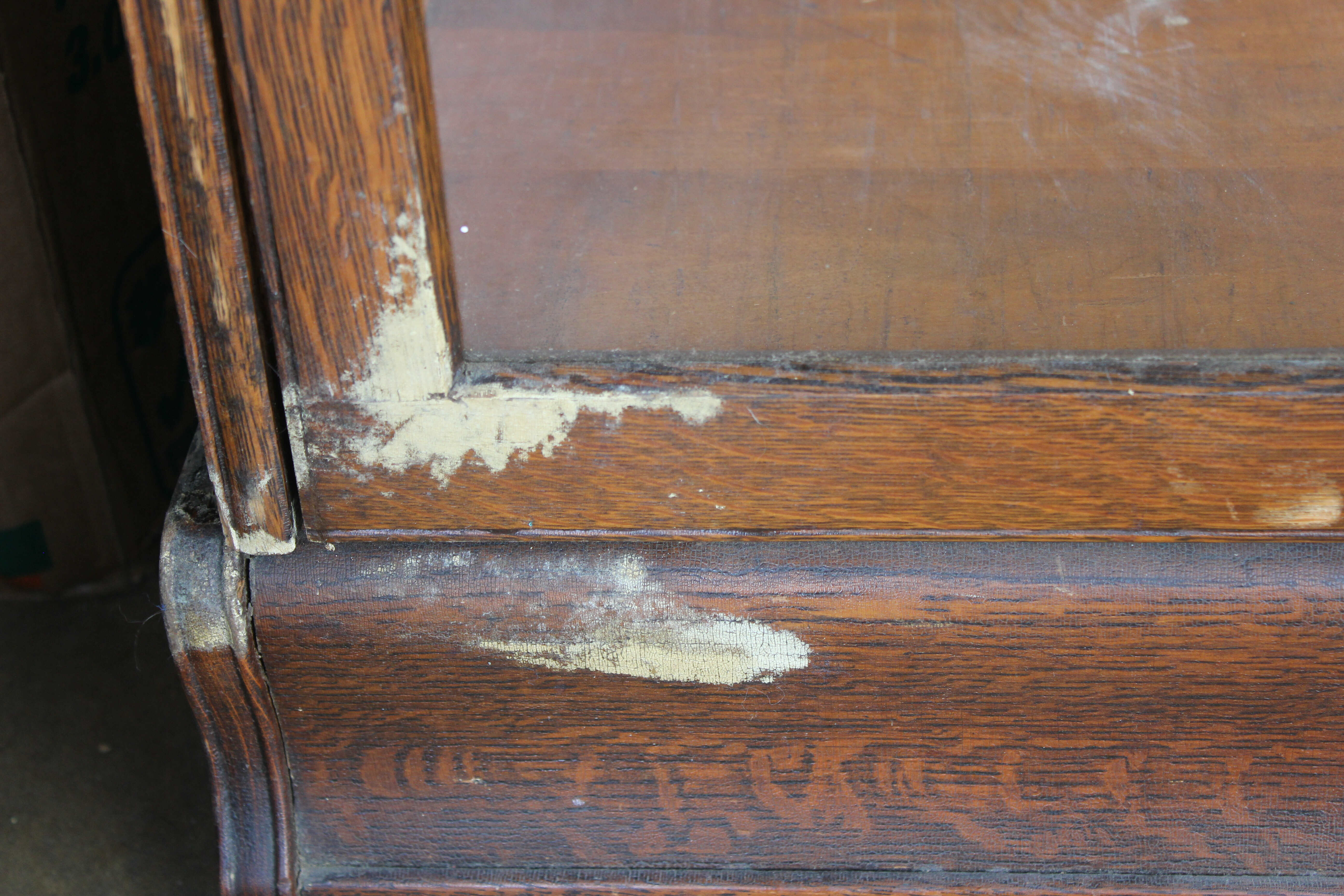 100yr Antique Oak Barrister covered in white mold
