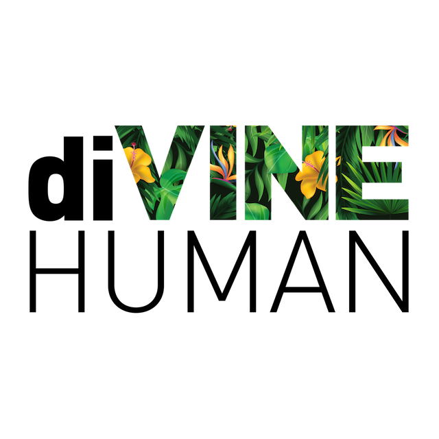 DIVINE HUMAN SCAM