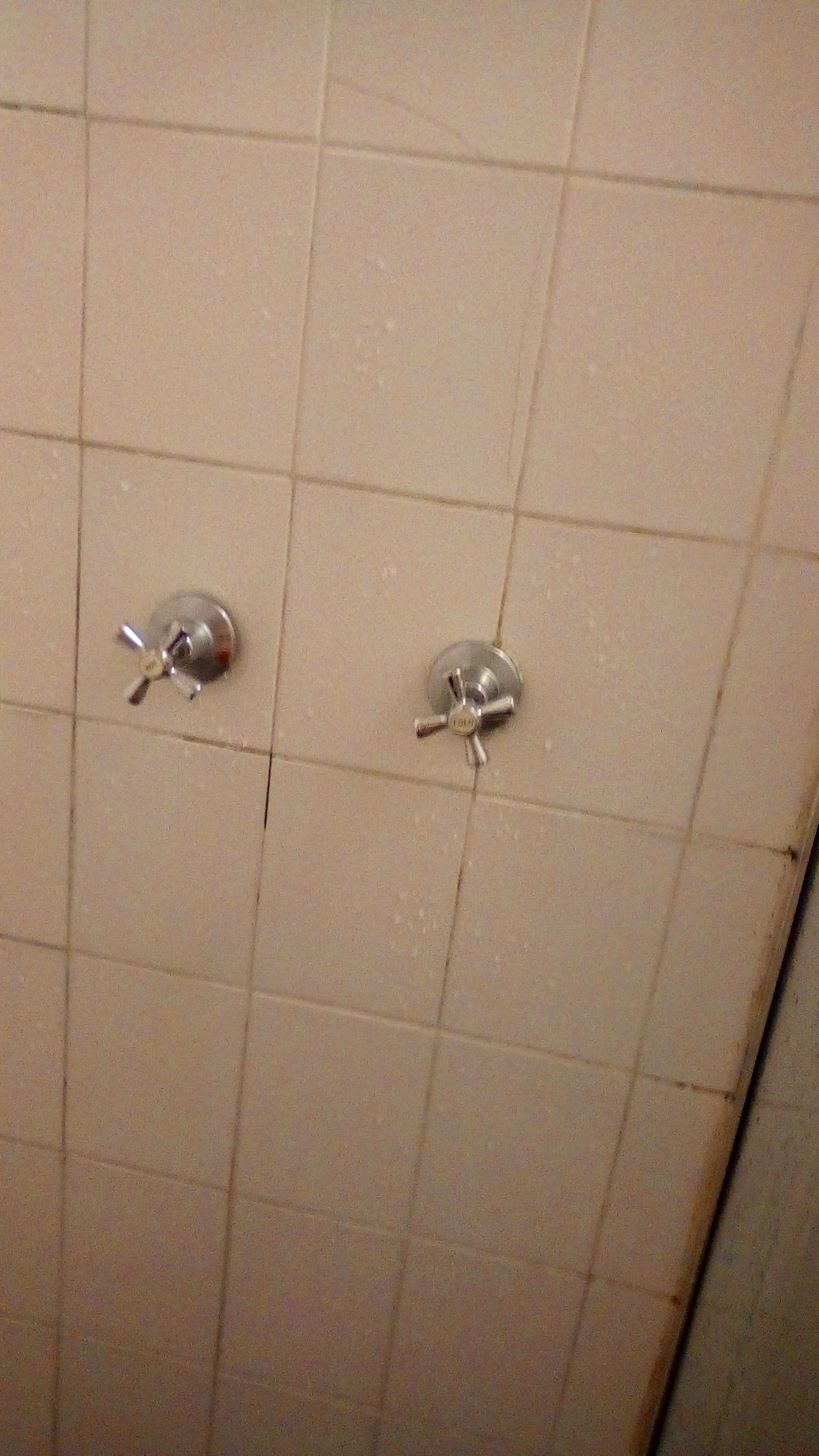 Leaking Shower Faucets