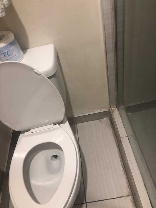 What a clean toilet!