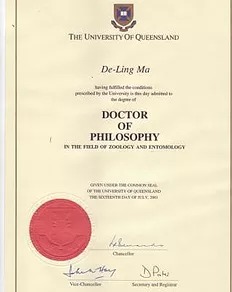 Bogus degree from UQueue.