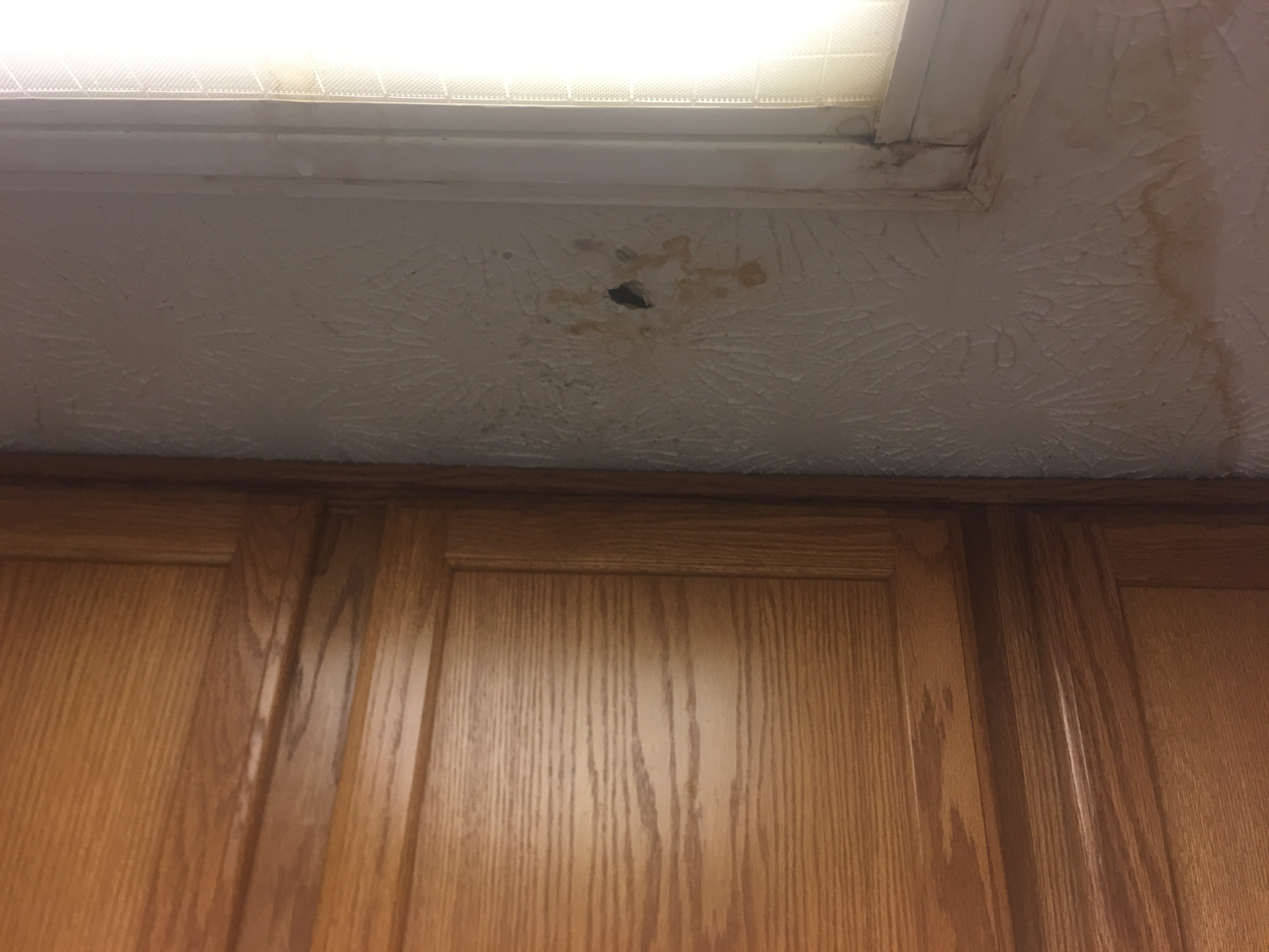 Bad leak caused finger to go through-Mold?