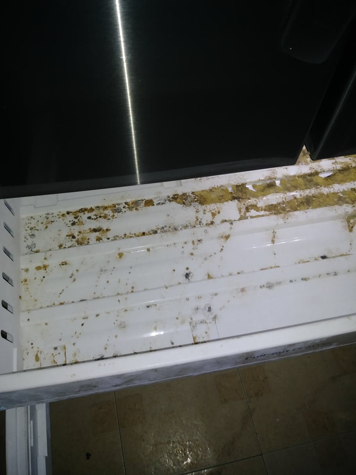 inside of refrigerator all moldy