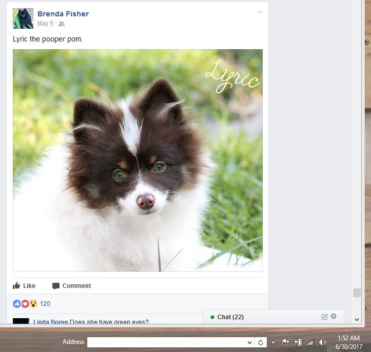 Brenda Fisher defames her own dog Lyric