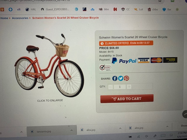 New Schwinn bike displayed on target.com
