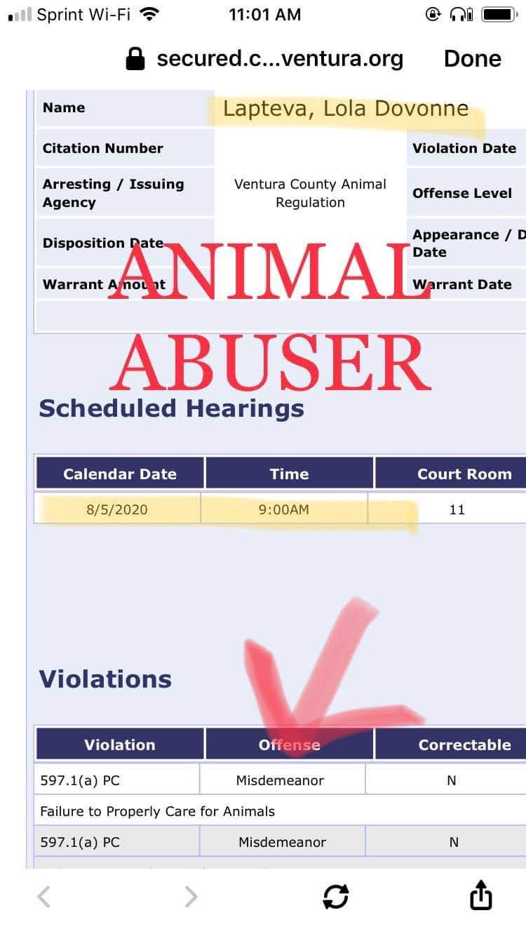 Animal Cruelty Charges