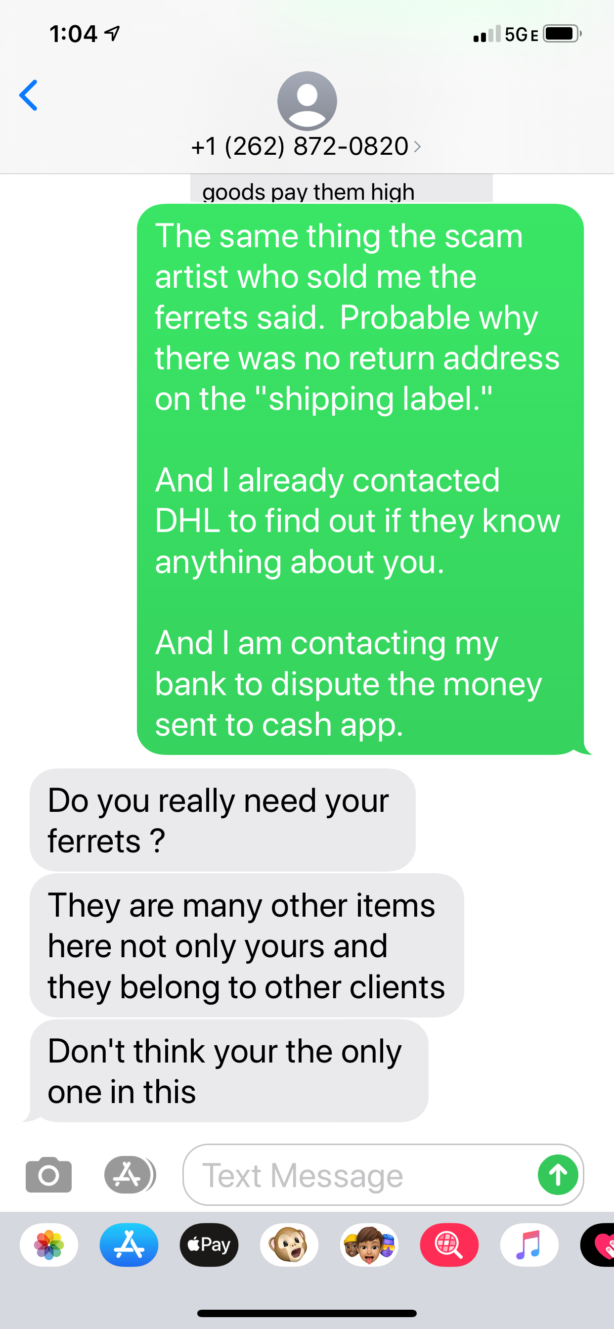 "Shipper" Do You Really Need Your Ferrets?