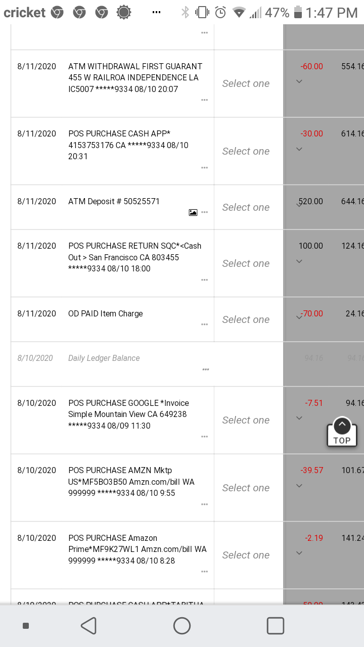 Screenshot of charges