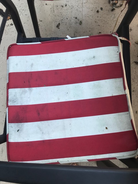 dirty outdoor upholstery
