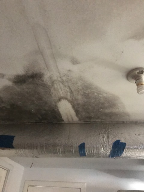 mold in basement where washer/dryer was