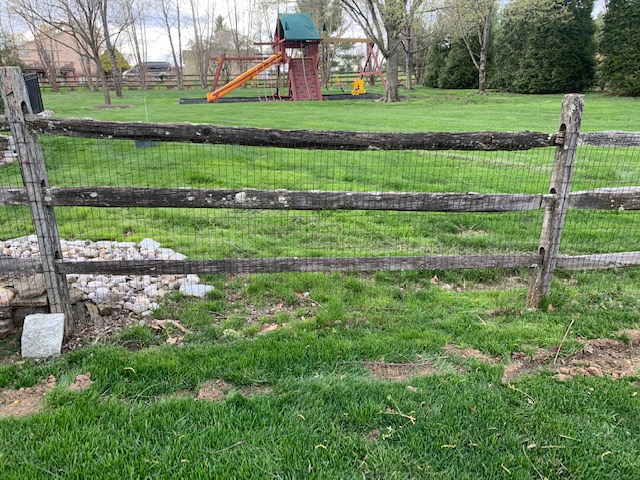 Some of many fence rails not replaced