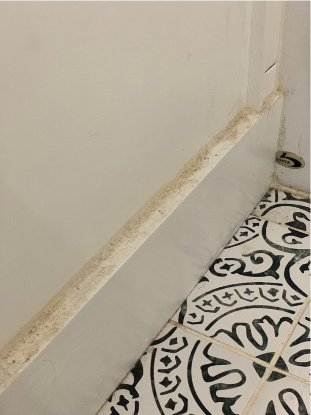 baseboard clearly not dusted and floors not mopped