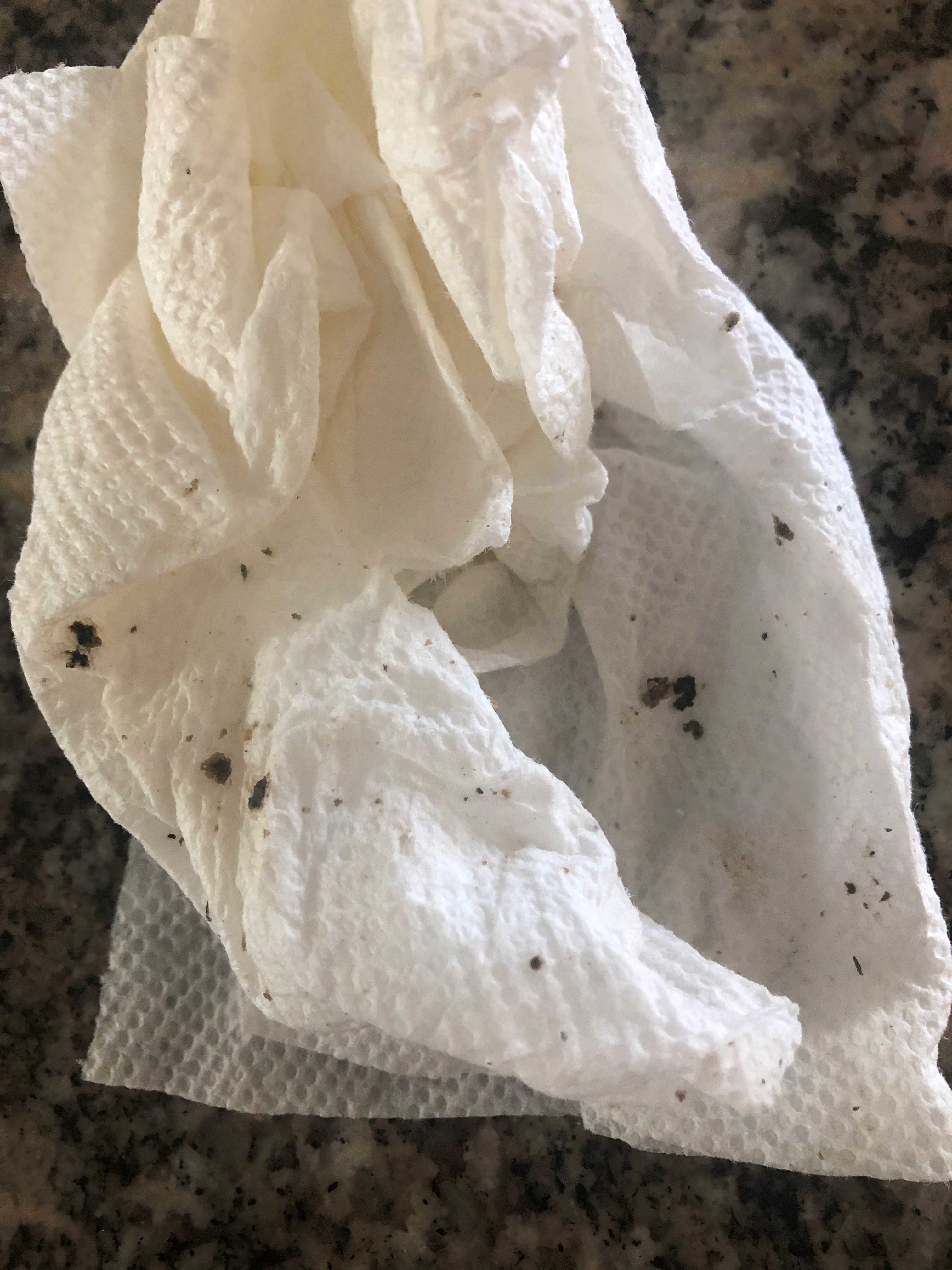 Mold on a rag from wash-late