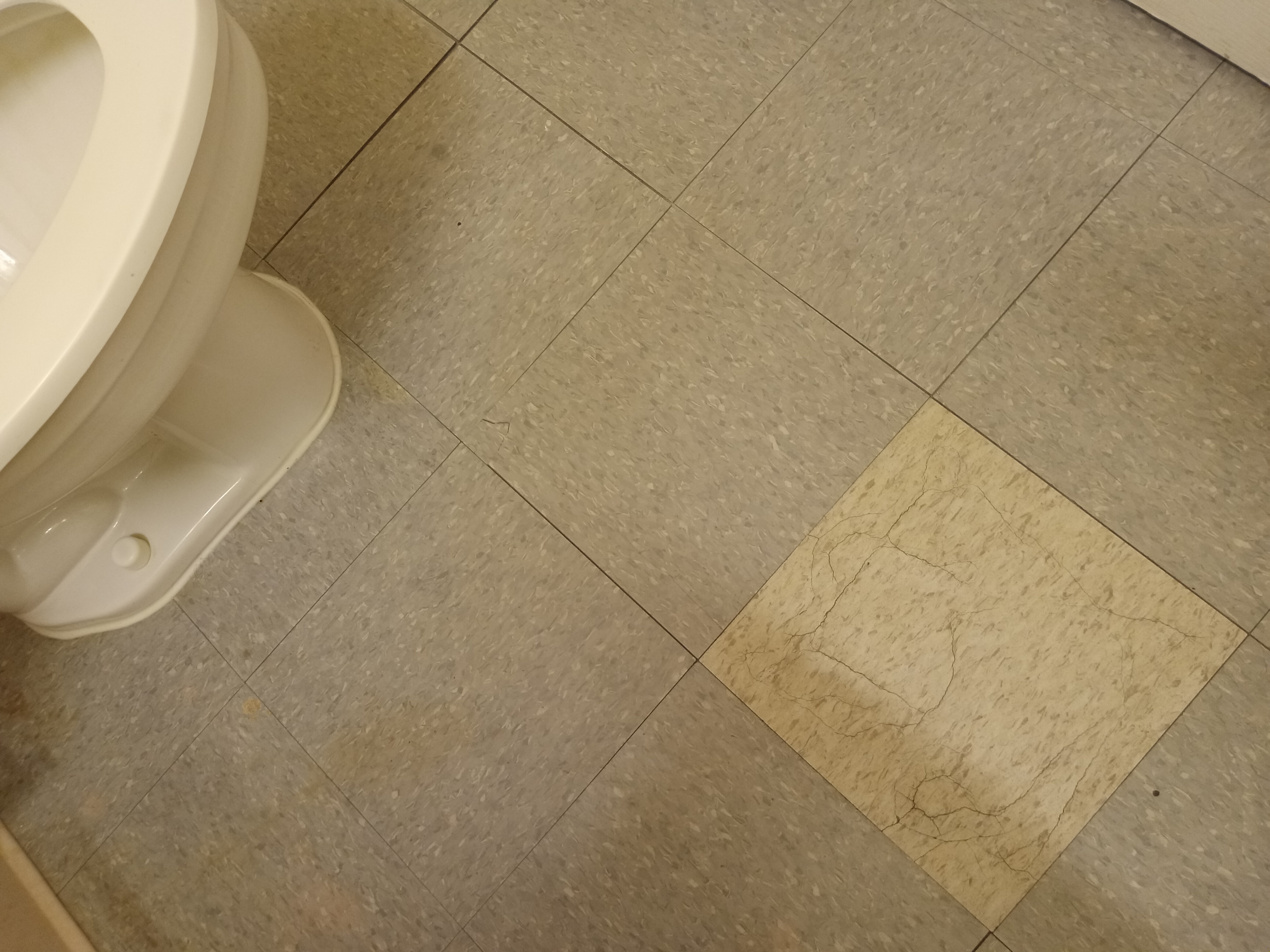 Bathroom Loose Floor Tiles
