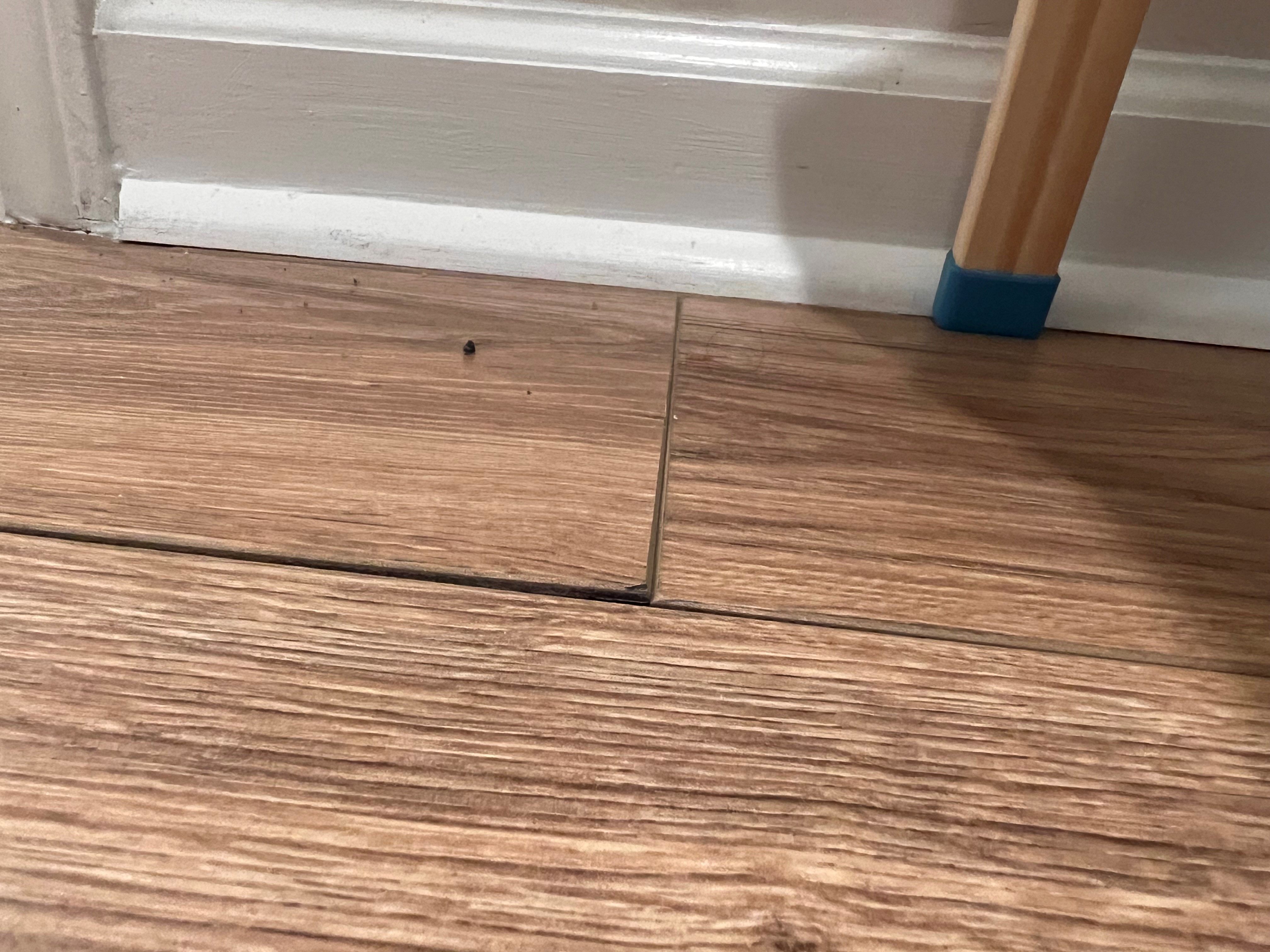 This plank has been like this since install