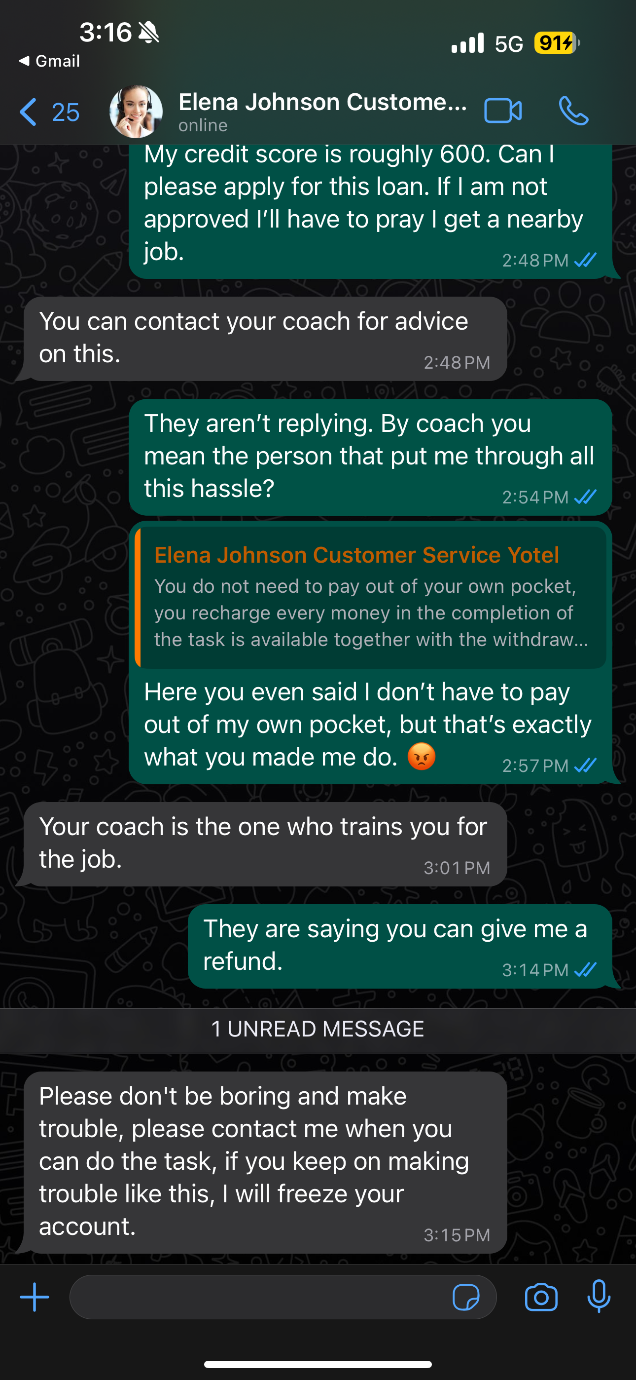 WhatsApp scammer screenshot of conversation