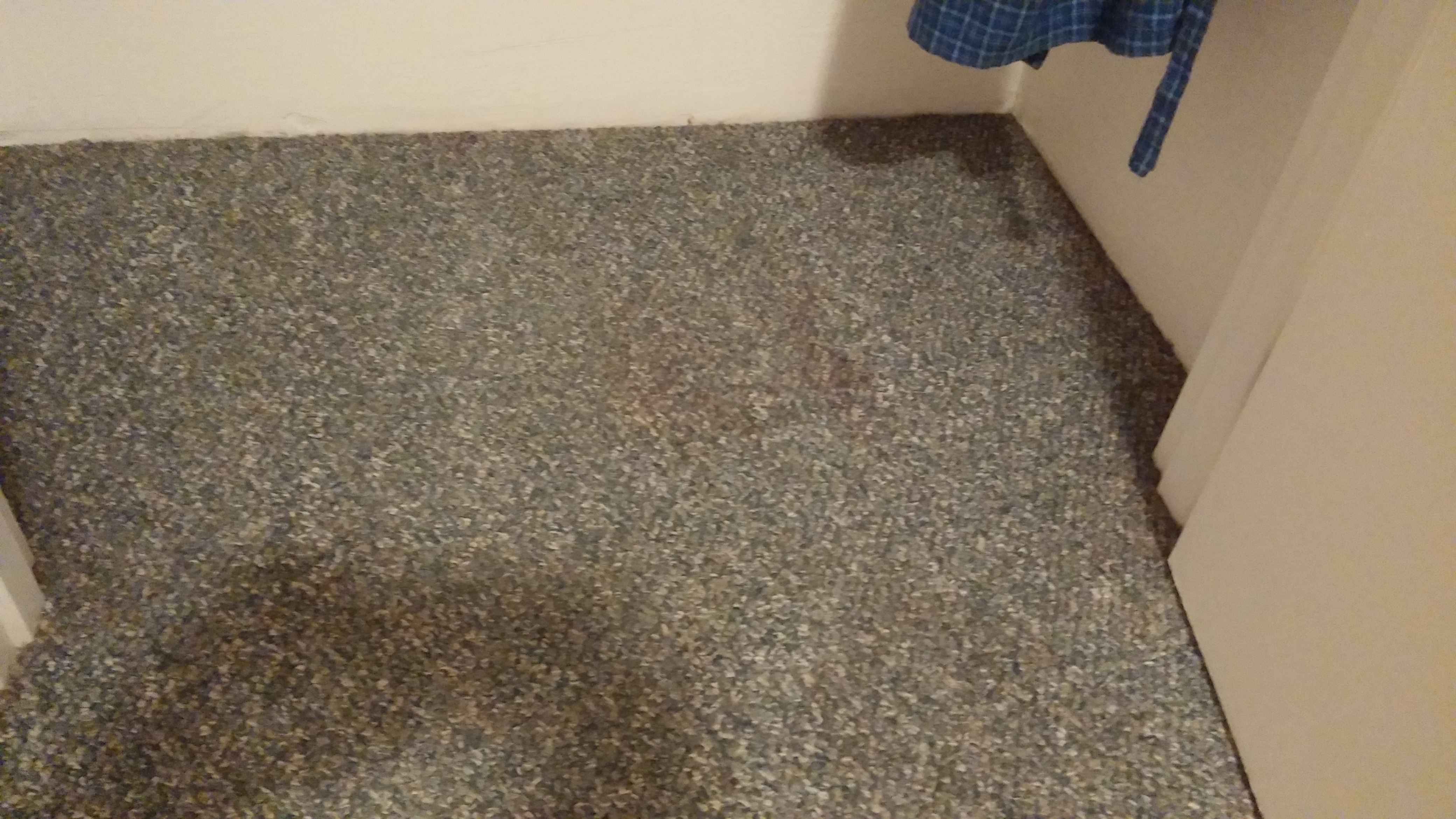 ChemDry Left a Dirty Carpet.  They couldn't get it out.