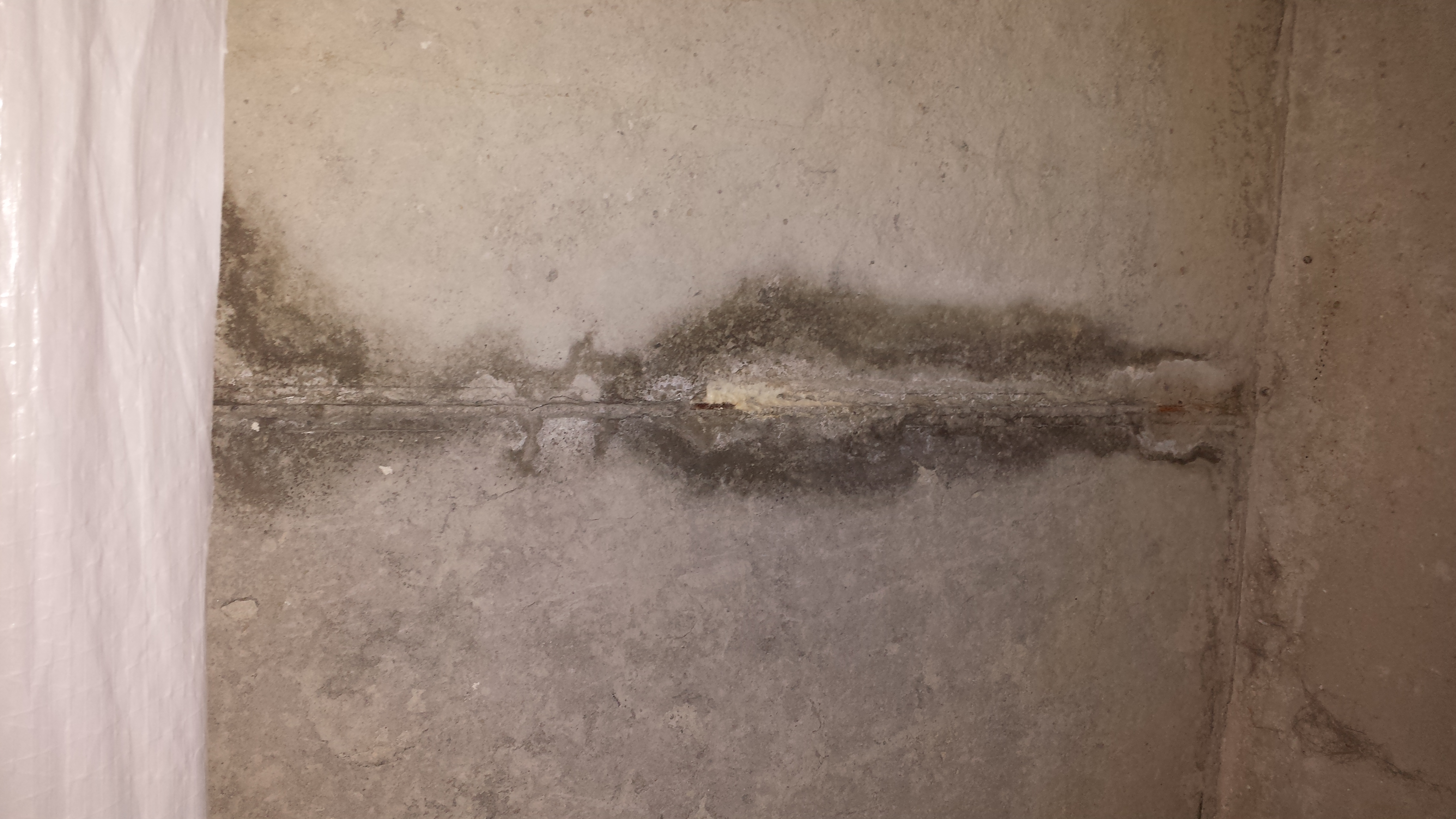 Mold in 2.5 year old basement. Courtesy of Ryan Homes.
