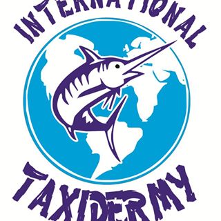 International Taxidermy Cabo