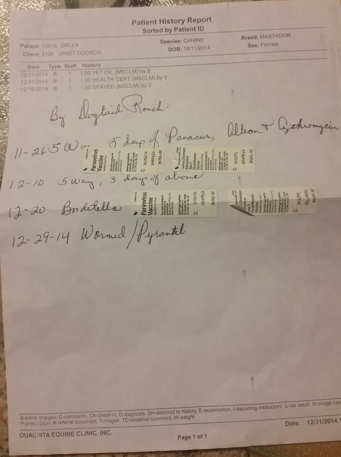 The only paperwork I received with the dog. This is supposedly her vaccination record