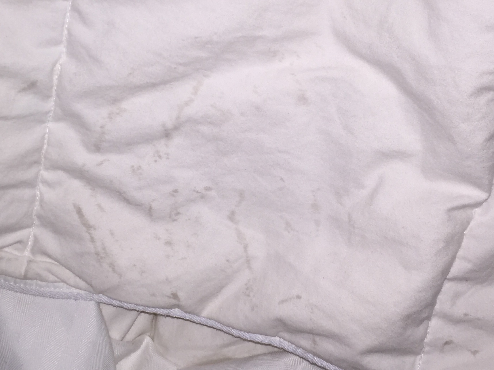 Stained blanket. Mold in shower, etc