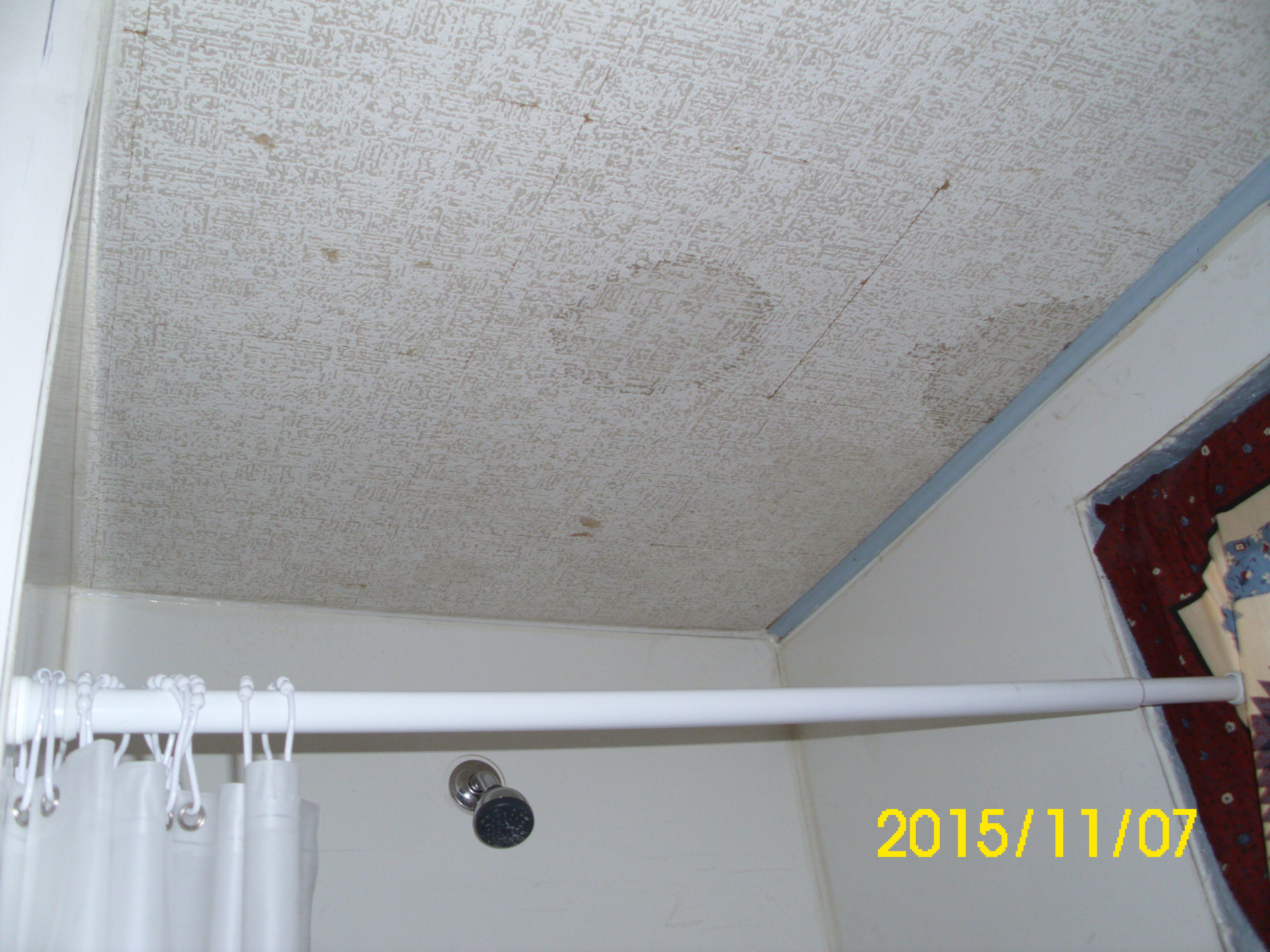 MOLD STAINS IN SHOWER 10 DAYS BEFORE INSPECTION 