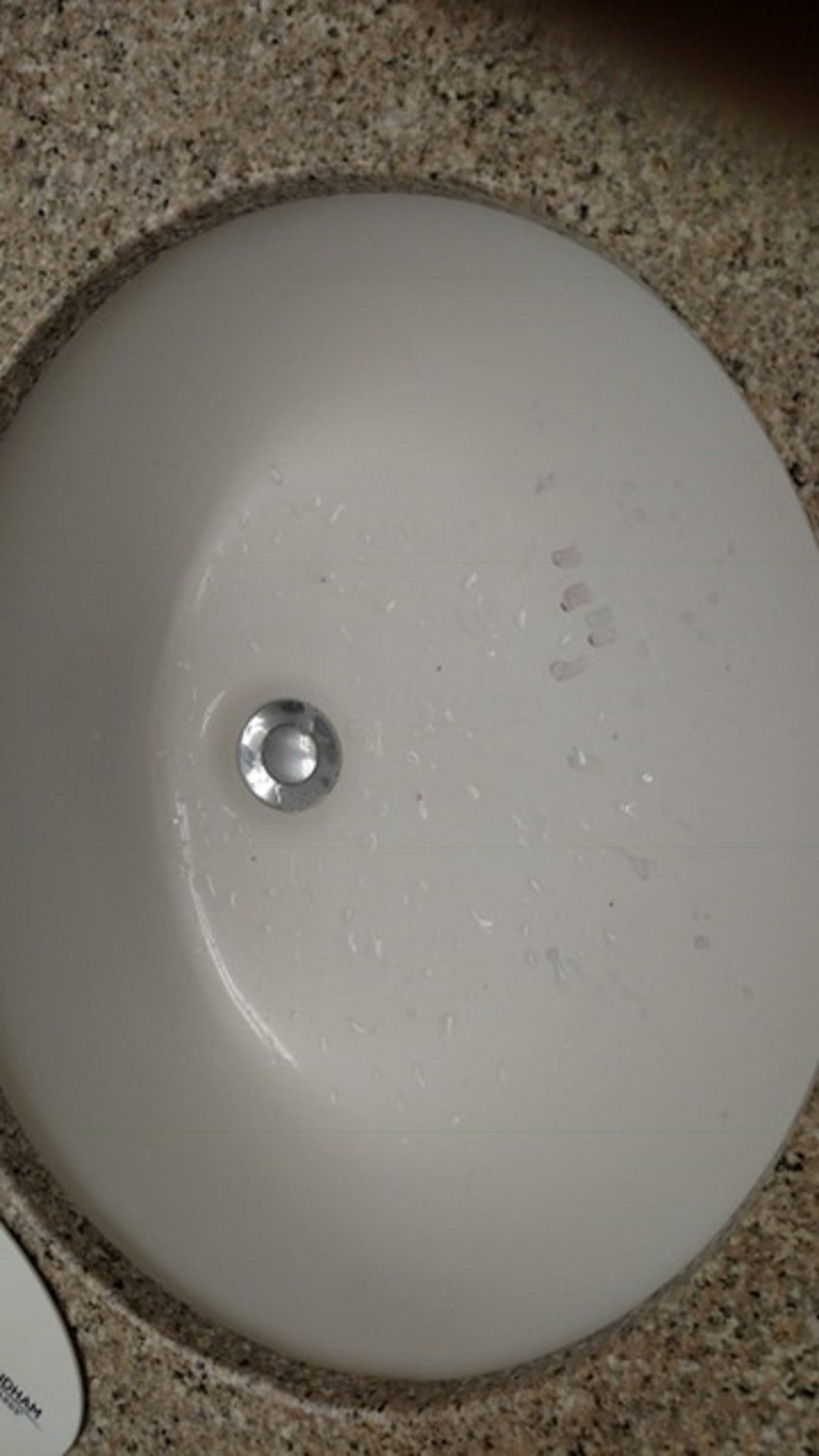 bathroom sink ith ants