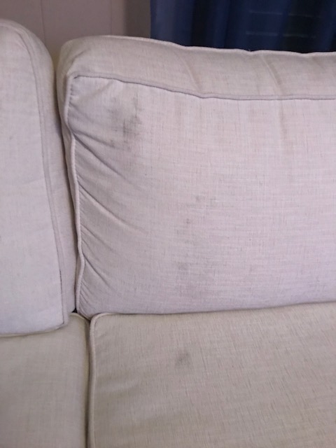 Transferred Fireplace Soot onto couch
