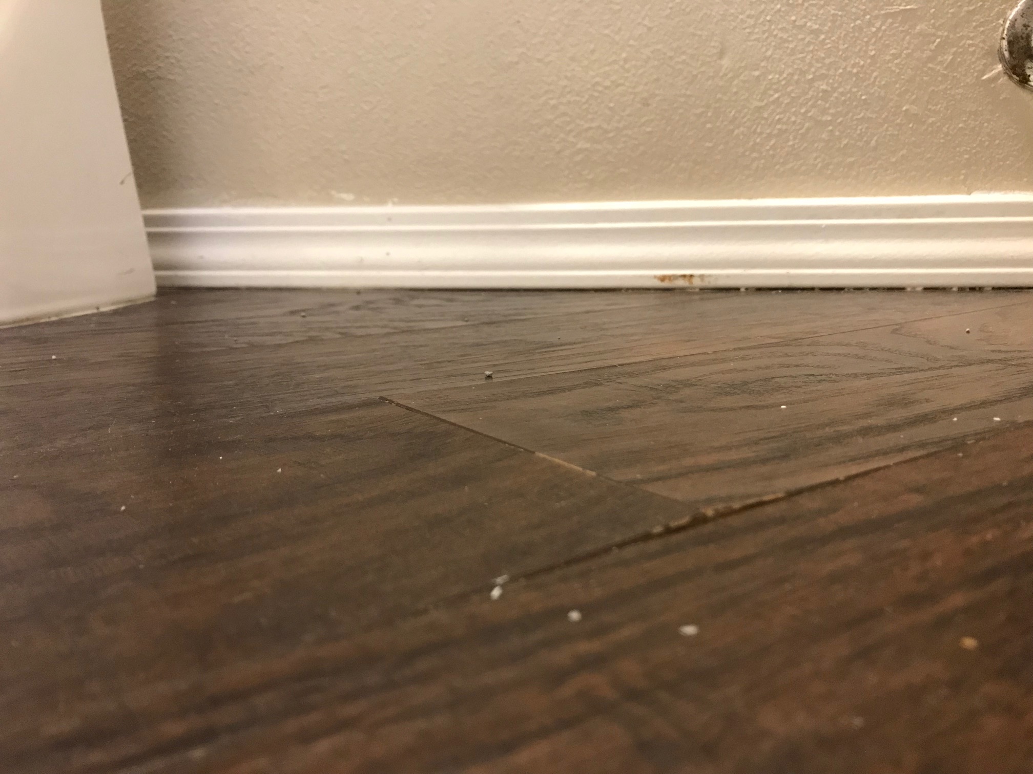 Bathroom floor water damage
