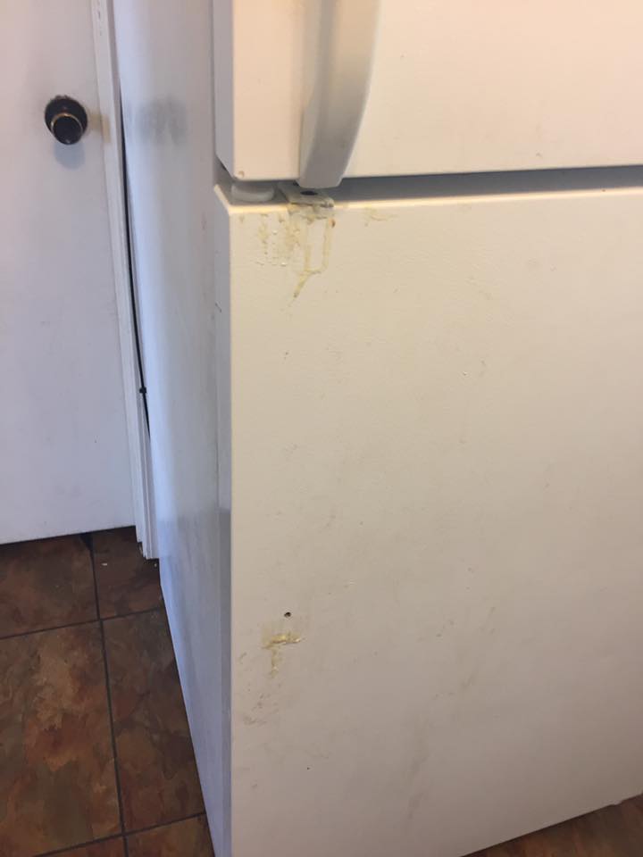 Refrigerator handle broken, also broken internally