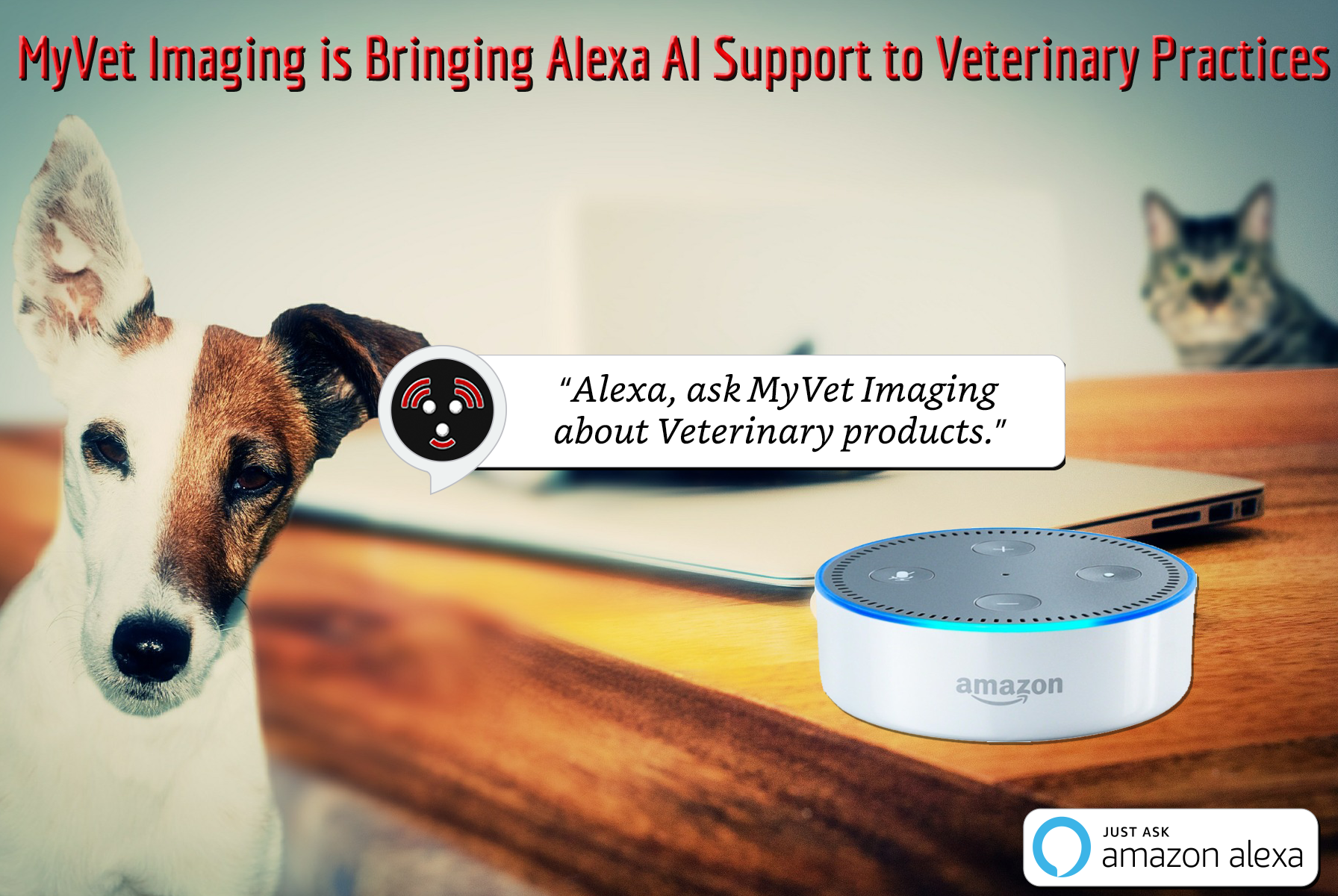 Marketing Materials for Completed Alexa Skill