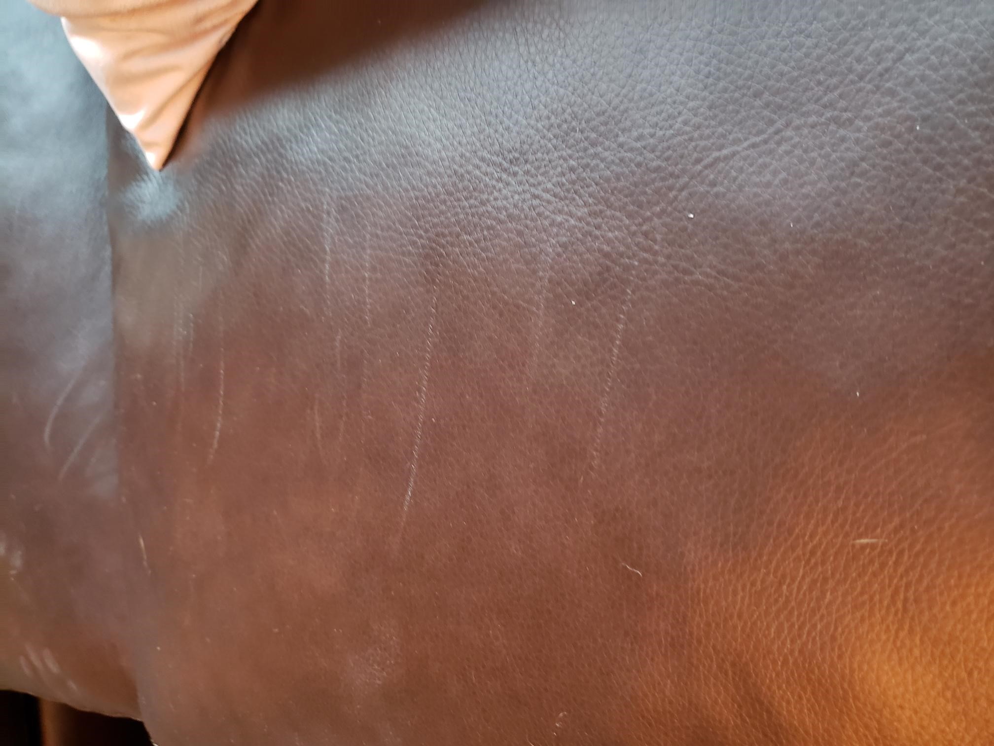 Permanent scratches on couch.