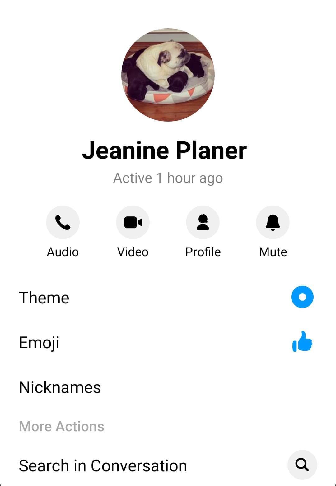 Planer Jeanine