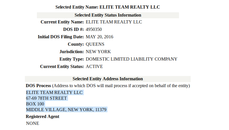 elite team realty llc business license