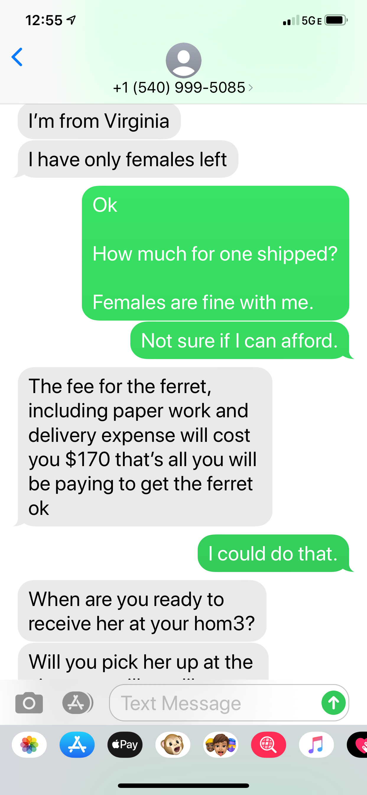 Asking How Much the Ferrets Cost
