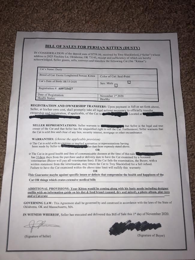 Fake Adoption Document