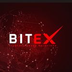 Bitex Global Logo