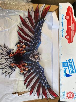 damaged eagle as received