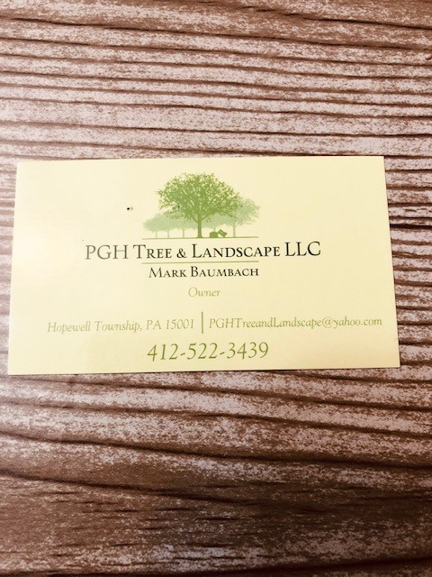 pgh tree business card